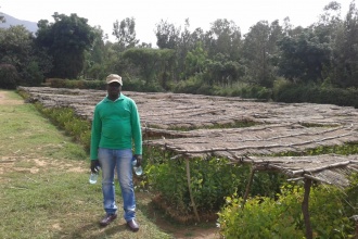 Nursery beds and Seedling distribution to community members to plant