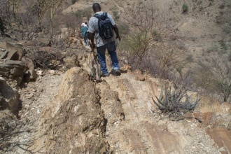 In 2010, API team visited the Tigray Region of Ethiopia, where most of the region was degraded with no of very scarce vegetation.