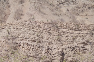 In 2010, API team visited the Tigray Region of Ethiopia, where most of the region was degraded with no of very scarce vegetation.