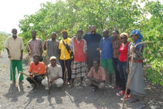 Even in very harsh conditions, the jatropha trees persist and grow