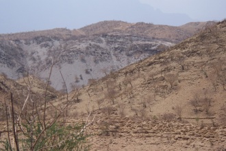 In 2010, API team visited the Tigray Region of Ethiopia, where most of the region was degraded with no of very scarce vegetation.
