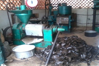 Oil expellers used to extract oil